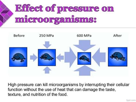 High pressure processing of food