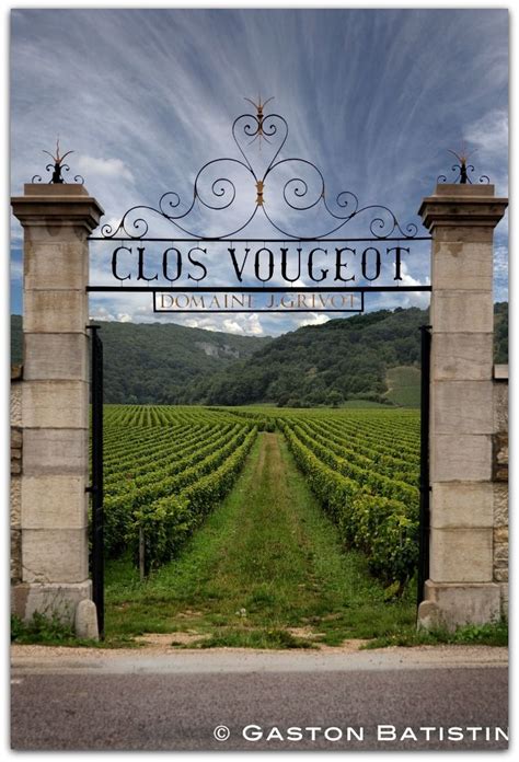 Clos Vougeot, Domaine J. GRIVOT, Bourgogne, France Wine Vineyards ...