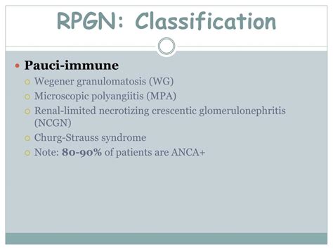 PPT - Introduction to nephrology Acute and chronic glomerulonephritis PowerPoint Presentation ...