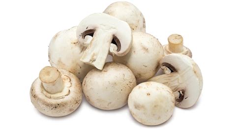 Mushrooms Finding Way Into Iranian Food Basket | Financial Tribune