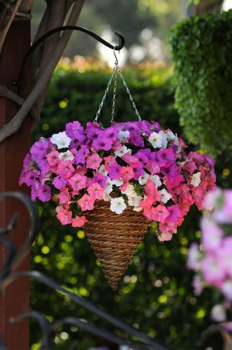 17 Absolutely-Stunning Outdoor Hanging Planter Ideas to Brighten Your Yard