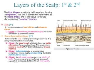 Anatomy of the Scalp | PPT