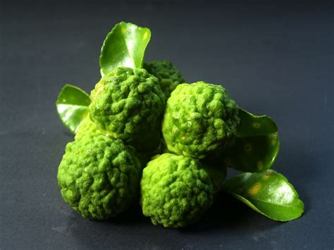 Bergamot Fruit Free Stock Photo - Public Domain Pictures