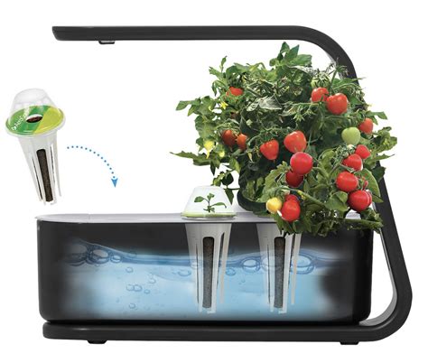 Indoor Hydroponic Garden: How to Grow Your Own Lettuce in Canada | Best Buy Blog