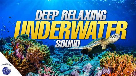 Deeply relaxing underwater sounds - YouTube