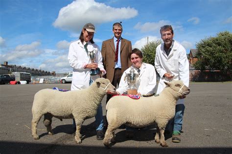 Brisk trade at Melton Mowbray — Southdown Sheep Society