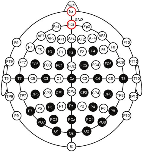 The selected electrode locations of the International 10–20 system (29... | Download Scientific ...