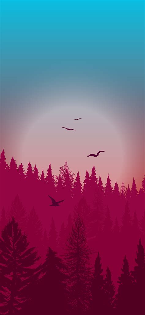 🔥 [27+] Beautiful Night Forest Wallpapers | WallpaperSafari