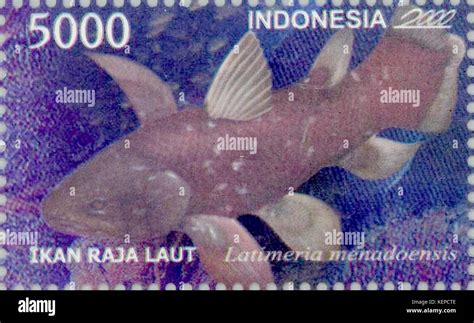 Latimeria menadoensis 2000 Indonesia stamp Stock Photo - Alamy