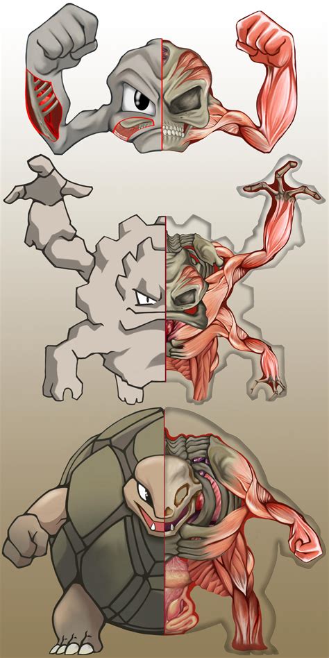 PokeNatomy- Geodude Evolution by Christopher-Stoll on DeviantArt