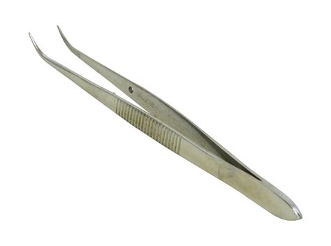 Curved Tip Forceps | for Dissection