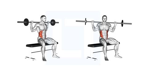 Barbell Seated Twist - Guide, Benefits, and Form