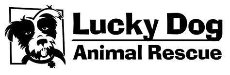 DOG Adoption Event at Petco in Rockville | Lucky Dog Animal Rescue