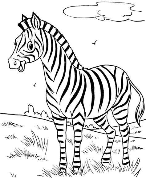 Free Wild Animals Coloring Pages, Download Free Wild Animals Coloring Pages png images, Free ...