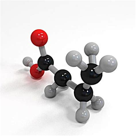 3d Butanoic Acid