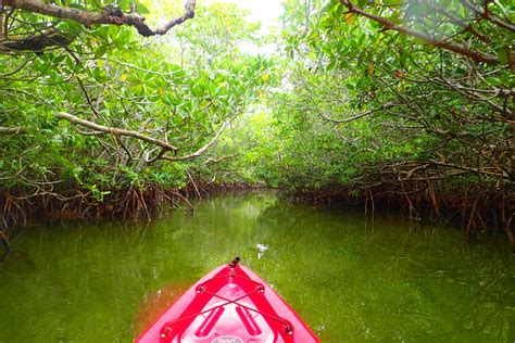 Getting Lost Kayaking Mangroves in the Florida Keys — Deviating the Norm