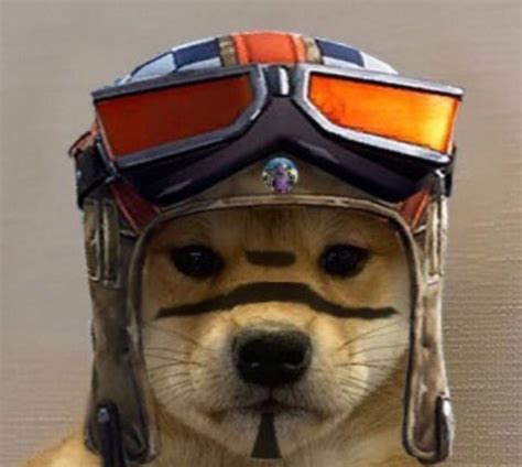 Ranegade raider dog in 2020 | Gamer pics, Dog icon, Best gaming wallpapers