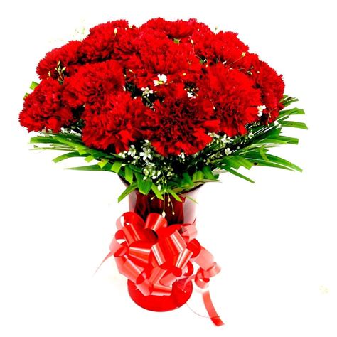 Charming Red Carnations