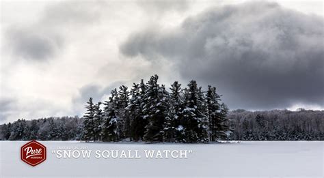 Snow squall - Lavonne Lilly