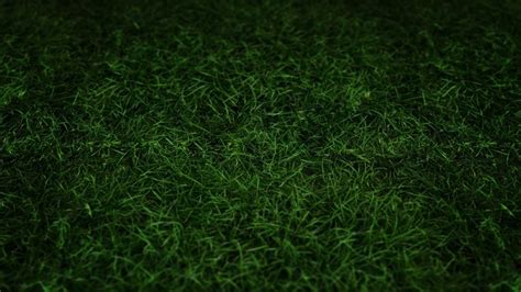 Dark green grass | Green nature wallpaper, Nature wallpaper, Dark green wallpaper