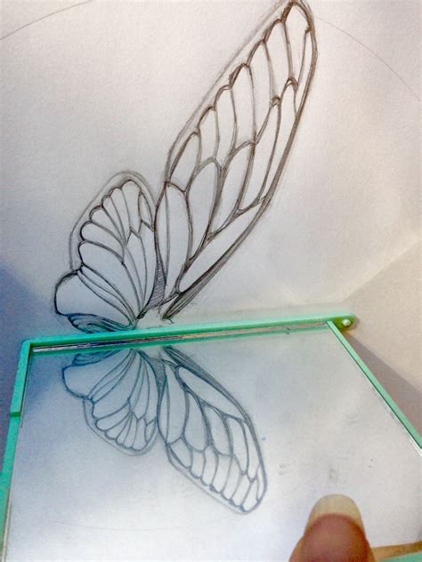 Sketch of cicada wing with mirror to help envision final composition. # ...