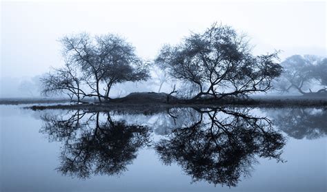 Reflection in woods by Guruprasad Hegde | Reflection, Symmetrical, Photography