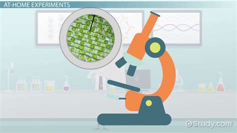 Plasmolysis Definition, Experiment & Applications - Lesson | Study.com