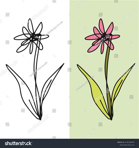 Hand Drawn Withered Flower Vector Illustration Stock Vector (Royalty Free) 2195108745 | Shutterstock