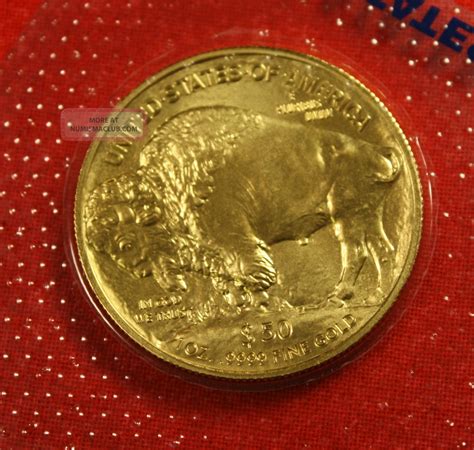 American Gold Buffalo 2013 50 Dollar 1 Oz. 999% Bu Great Collector Coin Gift