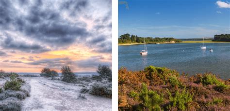 Discover the best Dorset coastal walks | holidaycottages.co.uk