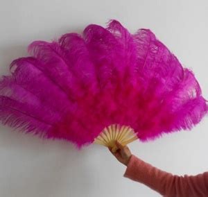 Ostrich Feathers Fan