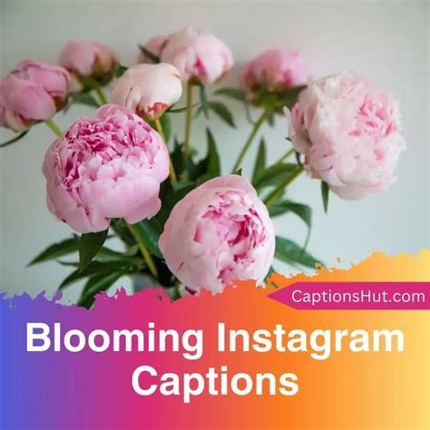 180+ deer captions for Instagram with emojis, Copy-Paste