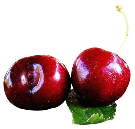 Free Cherry PNG Transparent Images, Download Free Cherry PNG ...