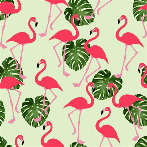 Pink Flamingo Wallpapers - Top Free Pink Flamingo Backgrounds ...