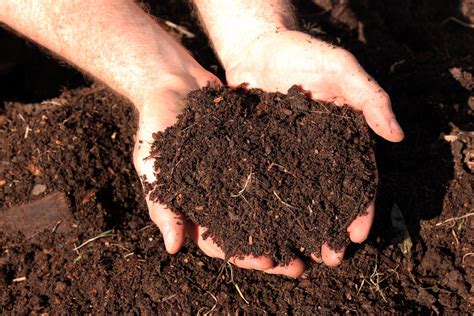 What Is Compost? It’s Controversial… | Compost Magazine