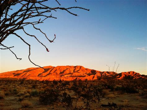 Desert,sunrise,sunrise sky,desert landscape,cactus - free image from ...