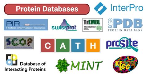 Protein Databases- Definition, Types, Examples, Uses