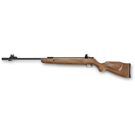 RWS® RM - 2003 .177 / .22 cal. Convertible Pellet Rifle - 95810, Air ...