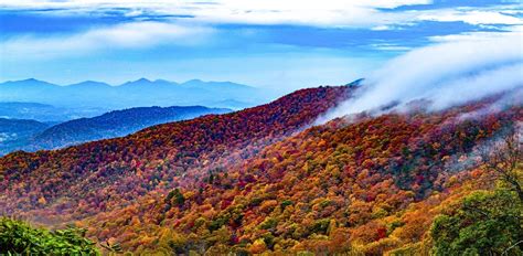 The 20 Best Places to See Fall Foliage in the Smoky Mountains