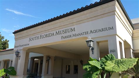 Home - South Florida Museum