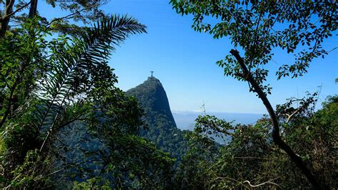 Tijuca Forest and Santa Teresa Private Tour & Photo Shoot