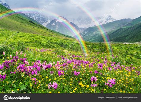 Beautiful Flower Mountain Rainbow Nature Images - Gamer 4 Everbr