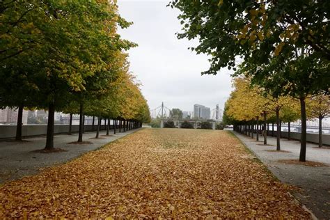 The best spots to see fall foliage in NYC | 6sqft