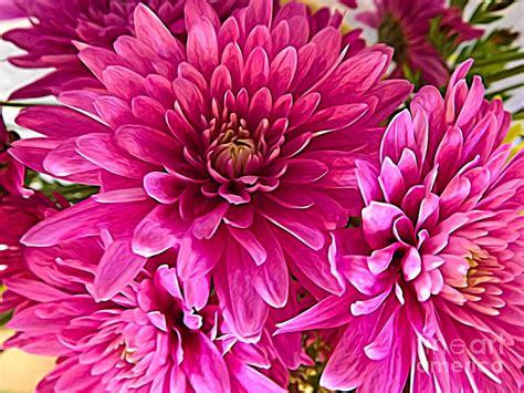 Pink Chrysanthemum Flowers Expressionist Effect Photograph by Rose ...