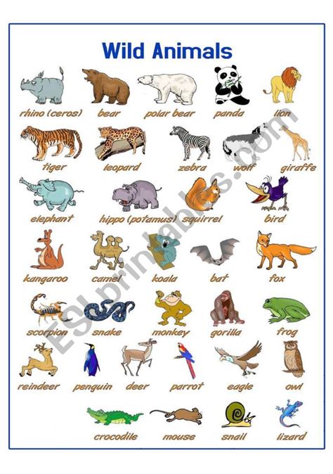 Wild Animals Kids Worksheet