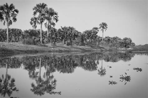 Elevation of Malakal, South Sudan - Topographic Map - Altitude Map