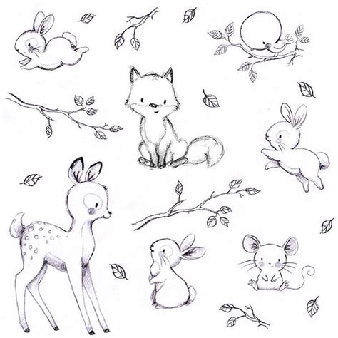 Cute Animal Drawings