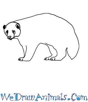 Wolverine Animal Coloring Pages For Kids