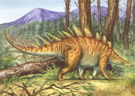 Kentrosaurus | Dinossauros