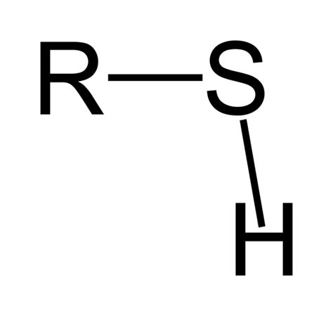 Life Is Science Is Life: Facts On Functional Groups